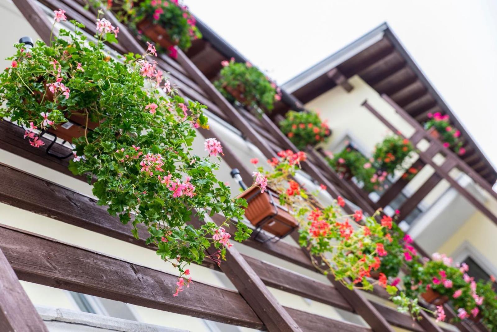 B&B Prato Solaro Taceno Ngoại thất bức ảnh